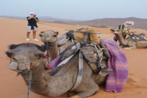 3-Day From Fes to Merzouga Desert