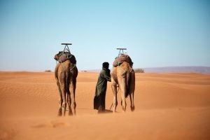 6 days tours from Tangier to Marrakech via Sahara desert